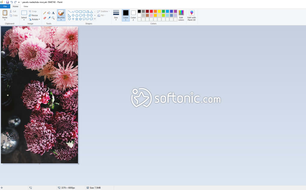 paintbrush download for windows 10